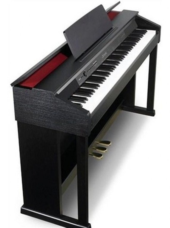 免税物品 CASIO AP-460BN 鍵盤楽器
